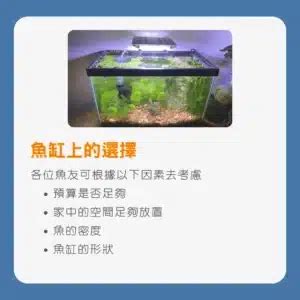 魚缸形狀|【魚缸尺寸】【魚缸指南】新手必看！挑選魚缸尺寸和注意事項